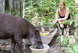 Volunteer Conservation & Environment Volunteer Conservation & Environment