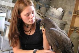 Volunteer Veterinary Medicine &<br /> Animal Care Volunteer Veterinary Medicine &<br /> Animal Care