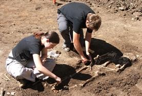 Volunteer Archaeology Volunteer Archaeology