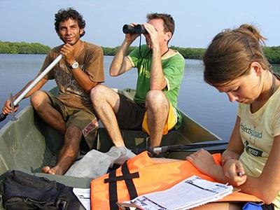 Conservation volunteers in Mexico conduct survey in lagoon Volunteers in Mexico conduct biodiversity survey