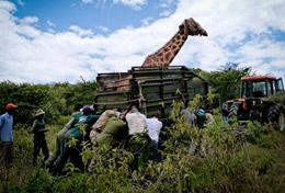 Volunteer Conservation & Environment Volunteer Conservation & Environment