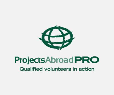 Projects for Professionals Projects for Professionals