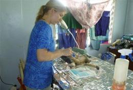 Volunteer Veterinary Medicine Volunteer Veterinary Medicine