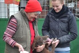 Volunteer Veterinary Medicine & <br /> Animal Care Volunteer Veterinary Medicine & <br /> Animal Care
