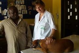 Volunteer Veterinary Medicine & <br /> Animal Care Volunteer Veterinary Medicine & <br /> Animal Care