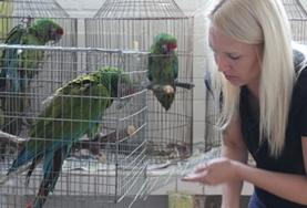 Volunteer Veterinary Medicine & <br /> Animal Care Volunteer Veterinary Medicine & <br /> Animal Care